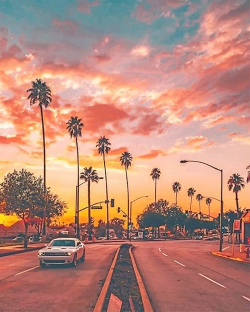 Los angeles palm tree sunset adult paint by numbers