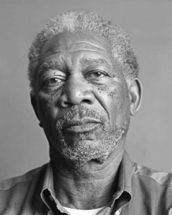 Morgan Freeman Black and White adult paint by numbers