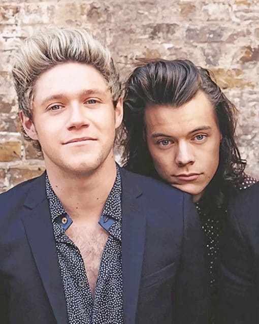 Niall Horan And Harry Styles Paint By Numbers