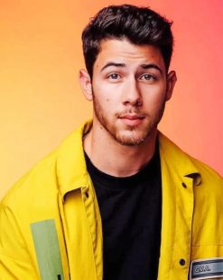 Nick Jonas adult paint by numbers