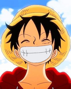 One Piece Luffy adult paint by numbers