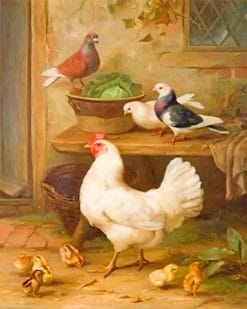 Pigeon and Chicken adult paint by numbers