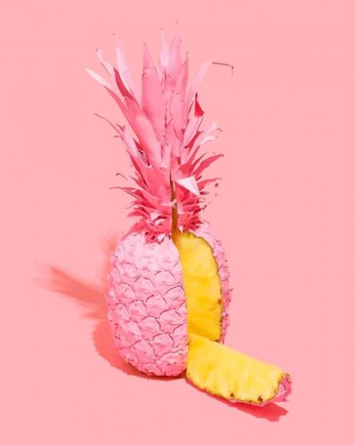 Pink Pineapple adult paint by numbers