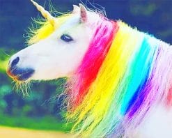 Real Beautiful Unicorn paint by number