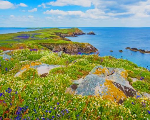 Saltee Island Great Ireland paint by number