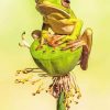 Squirrel Tree Frog adult paint by numbers