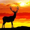 Sunset Silhouette Deer adult paint by numbers