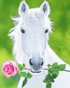White Horse Holding Pink Rose paint by number