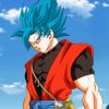 Xeno Goku ssj Blue adult paint by numbers
