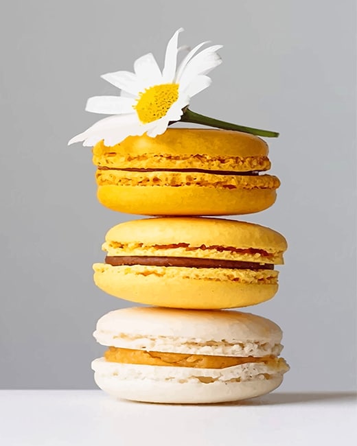Yellow Macarons adult paint by numbers