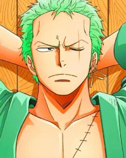 Zoro One piece adult paint by numbers