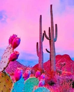 Aesthetic Sky Cactus Paint By Numbers
