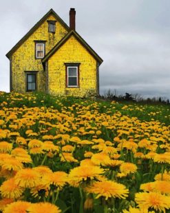 Aesthetic Yellow House paint by number