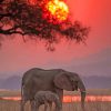 African Safari Elephant paint by number