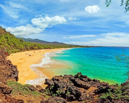 Amazing Beaches in Hawaii paint by numbers