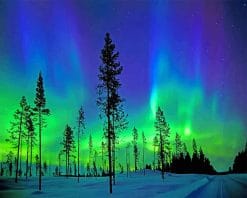 Arctic Aurora Landscape paint by number