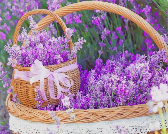 Basket Full Of Lavender Paint By Numbers