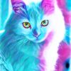 Beautiful Colorful Cat paint by numbers