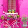 bicycle in burano italy adult paint by numbers