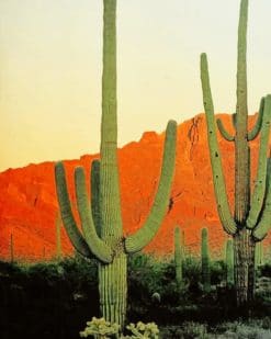 big cactus mountains adult paint by numbers