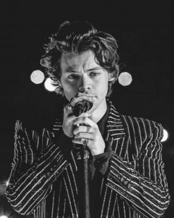 Black And White Harry Singing Paint By Numbers