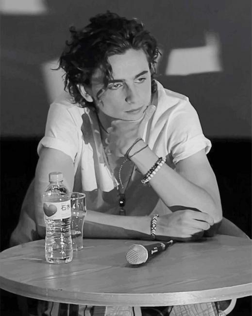 Black And White Timothée Chalamet Paint By Numbers