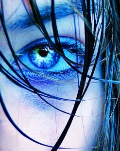blue eye adult paint by numbers
