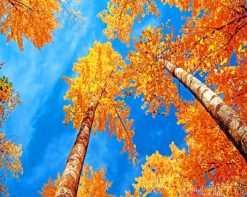 Blue Sky Autumn paint by number