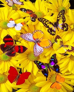 Butterflies Yellow Flowers paint by number