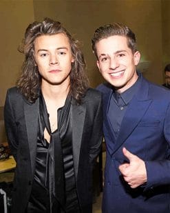 charlie puth and harry styles adult paint by numbers