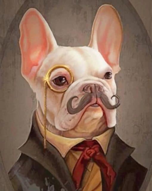 Classy Bulldog paint By Numbers