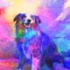 Colorful Dog paint by number