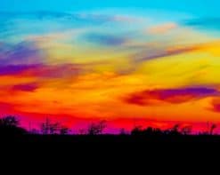 Colorful Sunset Trees Silhouette paint by number