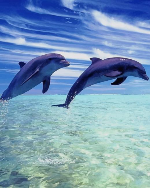Cute Dolphin Screen Saver paint by numbers