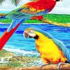 Cute Parrots paint by numbers