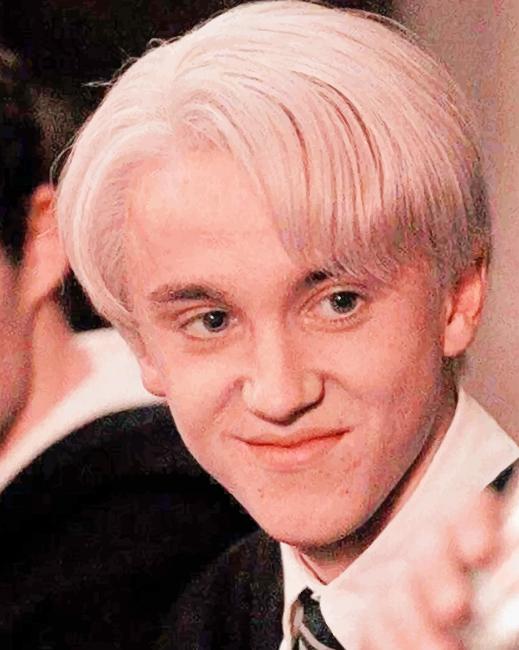 Draco Malfoy - NEW Paint By Numbers - Paint by numbers for adult