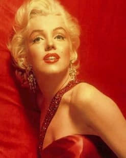 Famous Actress Marlyn Monroe paint by numbers