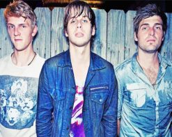 Foster The People Paint By Numbers