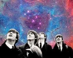 Galaxy Beatles Paint By Numbers