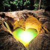 Green Natural Heart Shaped Paint by numbers