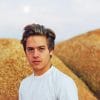 Handsome Dylan Sprouse Paint By Numbers