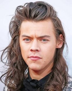 Handsome Harry Styles With Long Hair paint by numbers