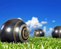 Lawn Bowls paint by number