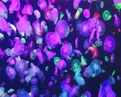 Lots Of Jellyfish paint by number