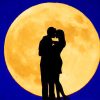 Moon Lovers Silhouette paint by number