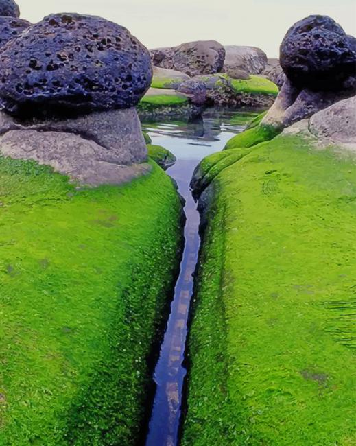 Mossy Inlet Iceland paint by numbers