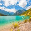 Plansee Lake Austria Paint By Numbers
