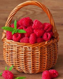 raspberries fruit in basket adult paint by number