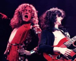 Robert Plant And Jimmy Page paint by number