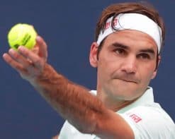 Roger Federer Tennis Player Paint By Numbers